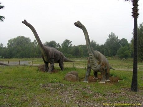 (12)Brachiosaurus
